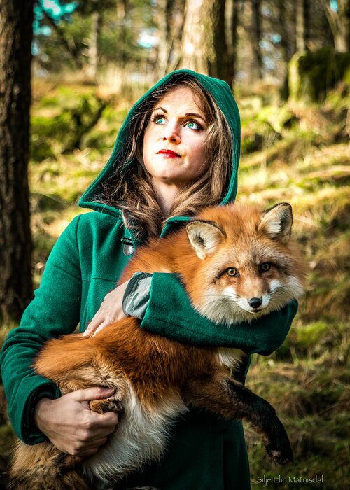 Ayla the Fox